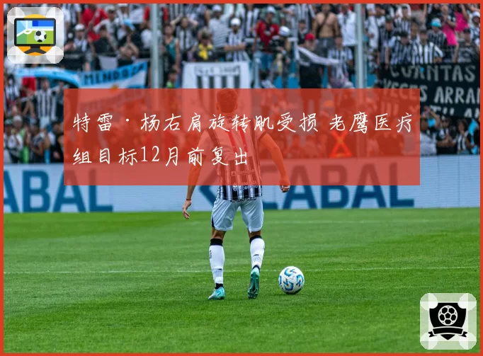 特雷·杨右肩旋转肌受损 老鹰医疗组目标12月前复出