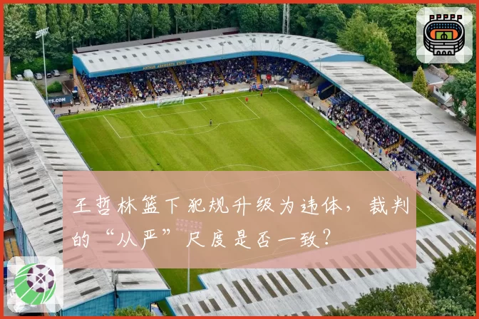 王哲林篮下犯规升级为违体，裁判的“从严”尺度是否一致？