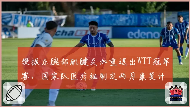 樊振东腕部肌腱炎加重退出WTT冠军赛，国家队医疗组制定两月康复计划