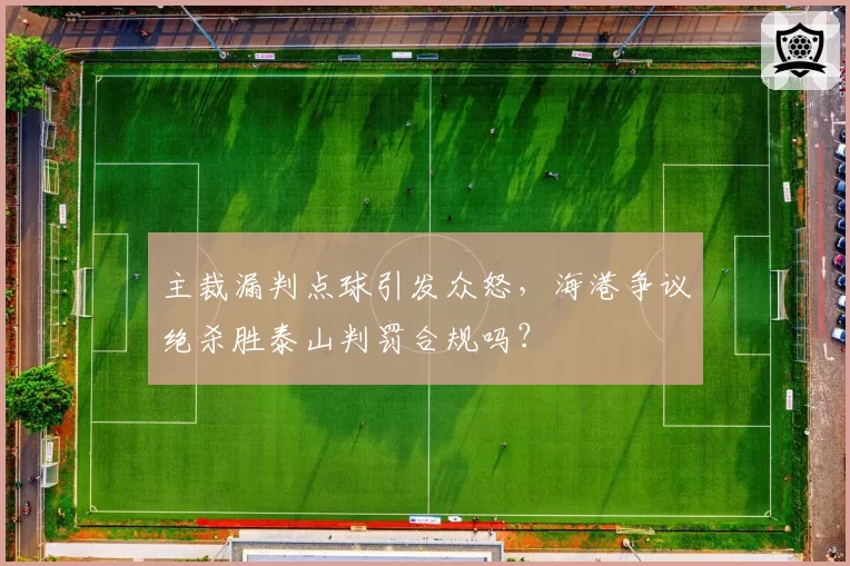 主裁漏判点球引发众怒，海港争议绝杀胜泰山判罚合规吗？