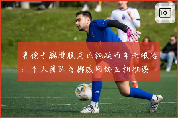 鲁德手腕滑膜炎已拖延两年未根治，个人团队与挪威网协互相推诿
