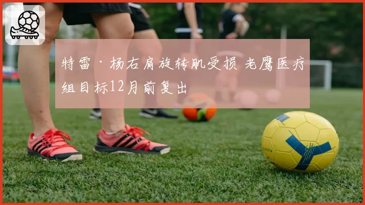 特雷·杨右肩旋转肌受损 老鹰医疗组目标12月前复出