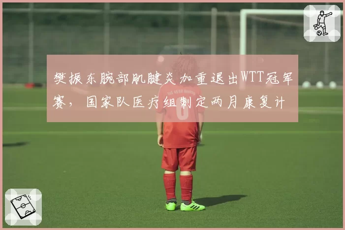 樊振东腕部肌腱炎加重退出WTT冠军赛，国家队医疗组制定两月康复计划