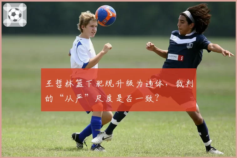 王哲林篮下犯规升级为违体，裁判的“从严”尺度是否一致？